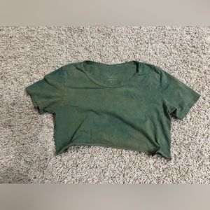 WiseFool organic indigo dye mini crop